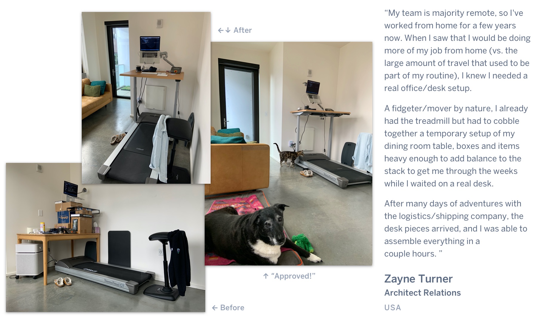 A before photo of a standing desk made up boxes, followed by an after photo of a clean mechanical standing desk above a treadmill, with a dog and cat looking on. "My team is majority remote, so I've worked from home for a few years now. When I saw that I would be doing more of my job from home (vs. the large amount of travel that used to be part of my routine), I knew I needed a real office/desk setup. A fidgeter/mover by nature, I already had the treadmill but had to cobble together a temporary setup of my dining room table, boxes and items heavy enough to add balance to the stack to get me through the weeks while I waited on a real desk. After many days of adventures with the logistics/shipping company, the desk pieces arrived, and I was able to assemble everything in acouple hours.” Zayne Turner, Architect Relations, USA.