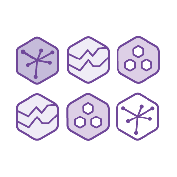 Six purple hexagonal icons with various line and pattern designs, arranged in two rows.